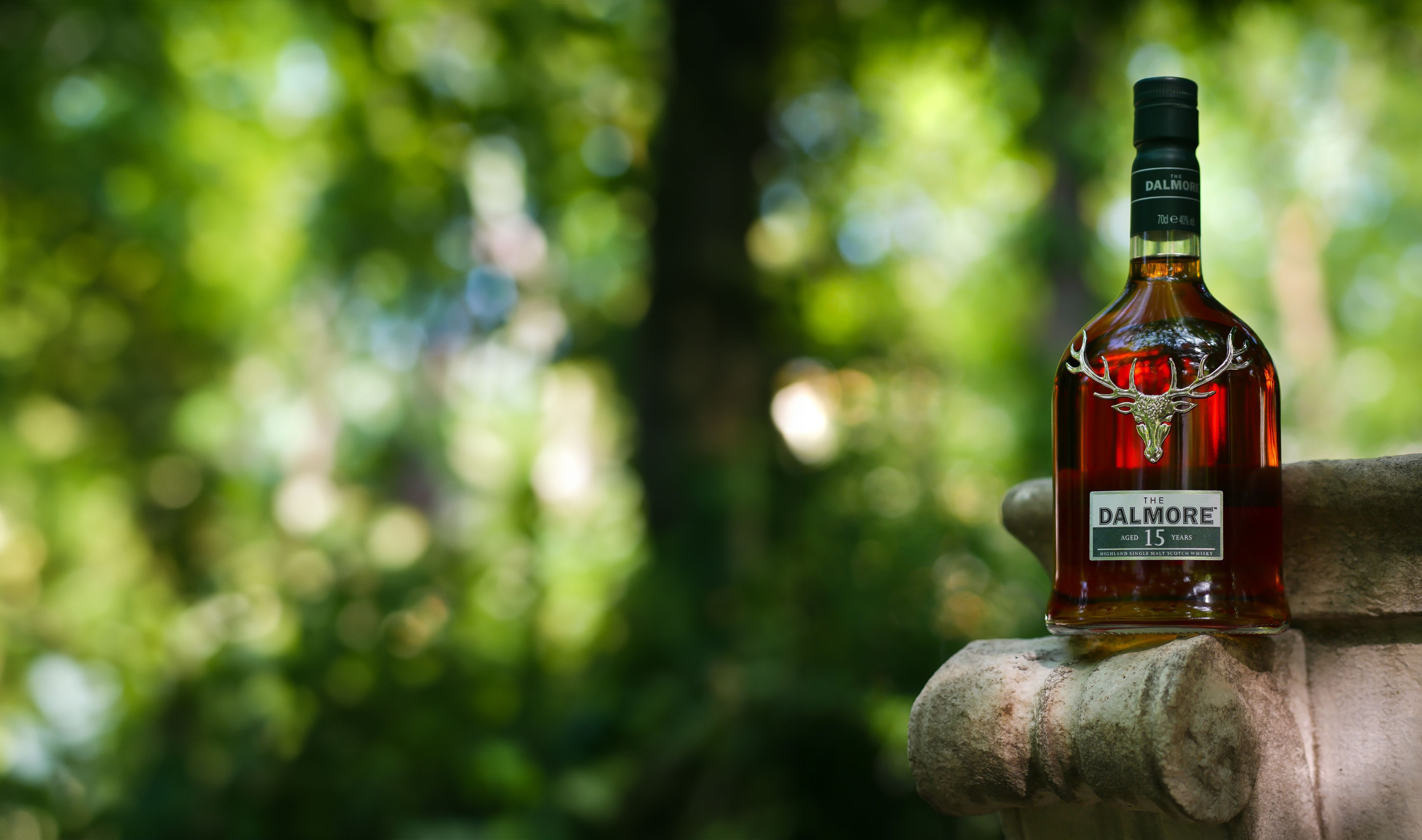 collection-background