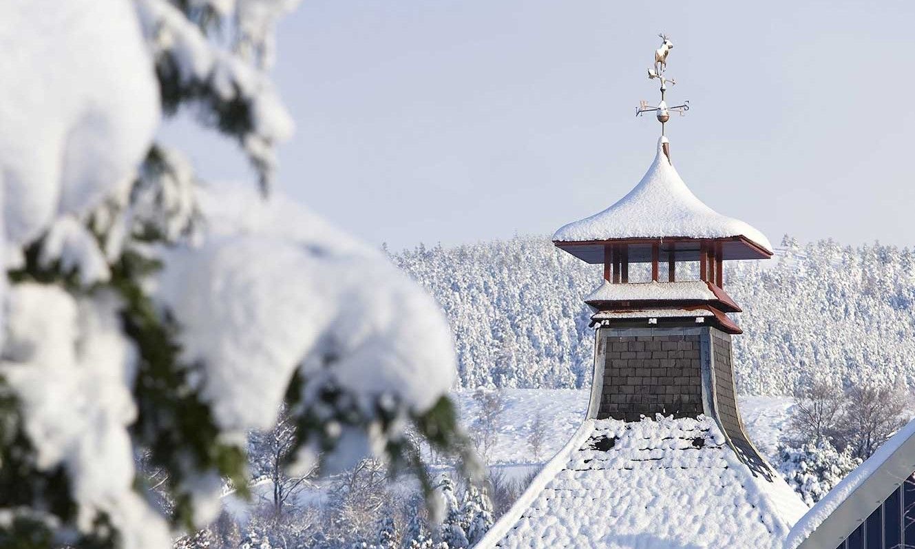 collection-background