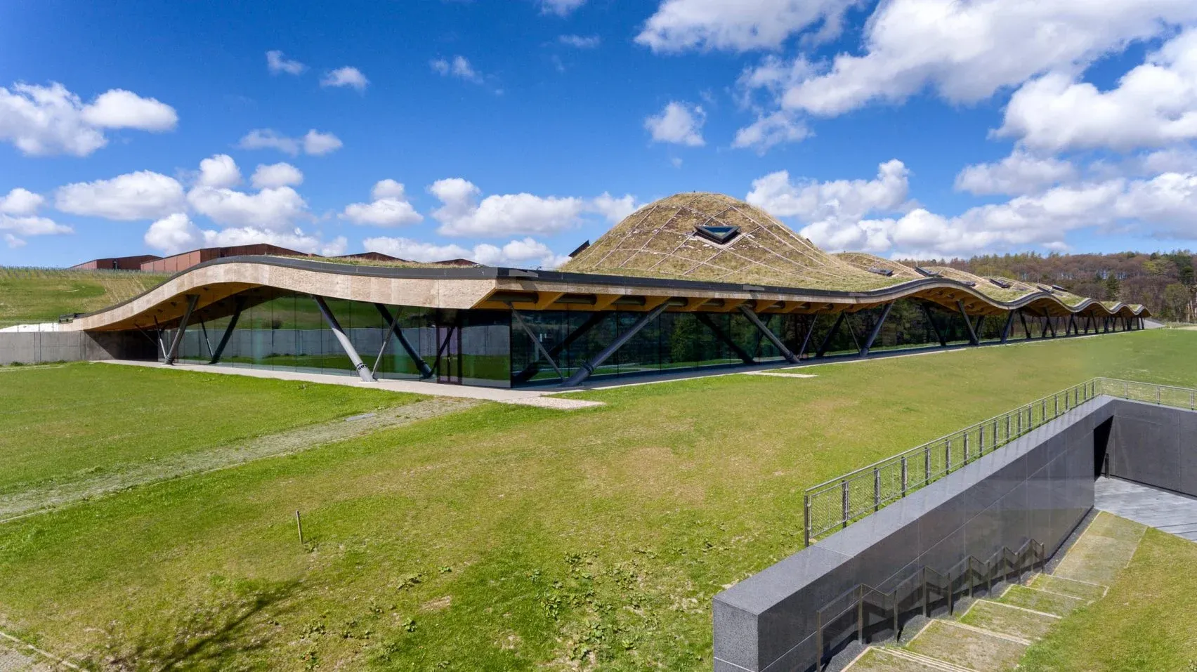 Home Of The Wildflower Roofs.webp