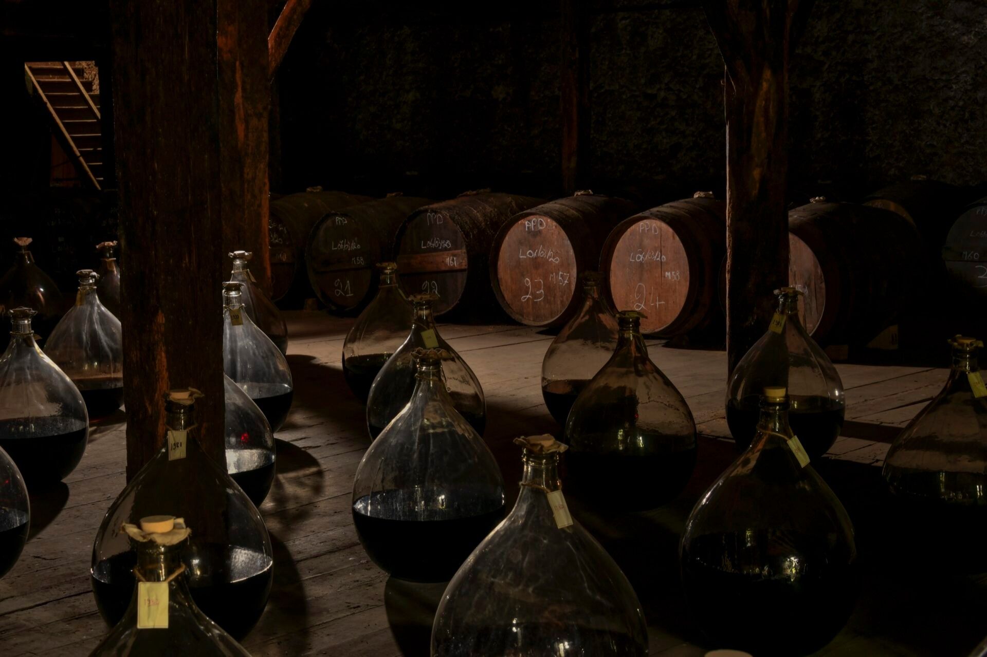 collection-background