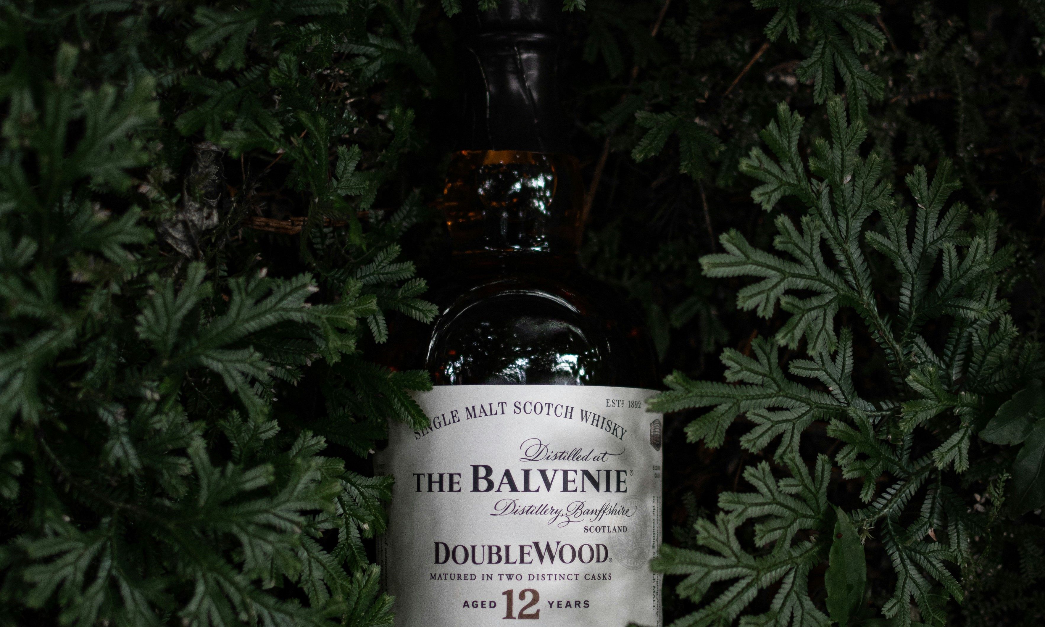 collection-background