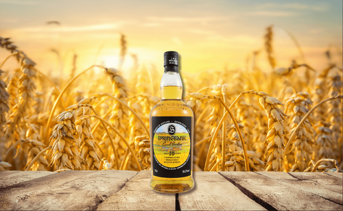 small_Springbank_Local_Barley_